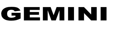 GEMINI
